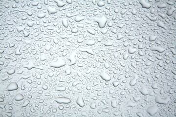 raindrops on the bonnet