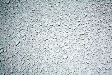 raindrops on the bonnet