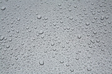 raindrops on the bonnet