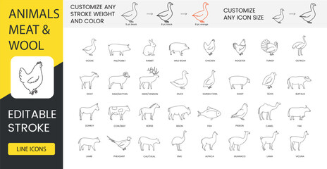 Types of meat and animals that give wool, set of line icons in vector, goose and pig, porkt and rabbit, wild boar and chicken, rooster and turkey, goat and ram, mutton and duck. Editable stroke. © GrandDesign