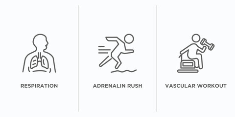 sauna outline icons set. thin line icons such as respiration, adrenalin rush, vascular workout vector. linear icon sheet can be used web and mobile