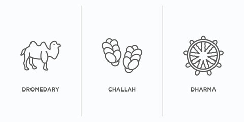 religion outline icons set. thin line icons such as dromedary, challah, dharma vector. linear icon sheet can be used web and mobile