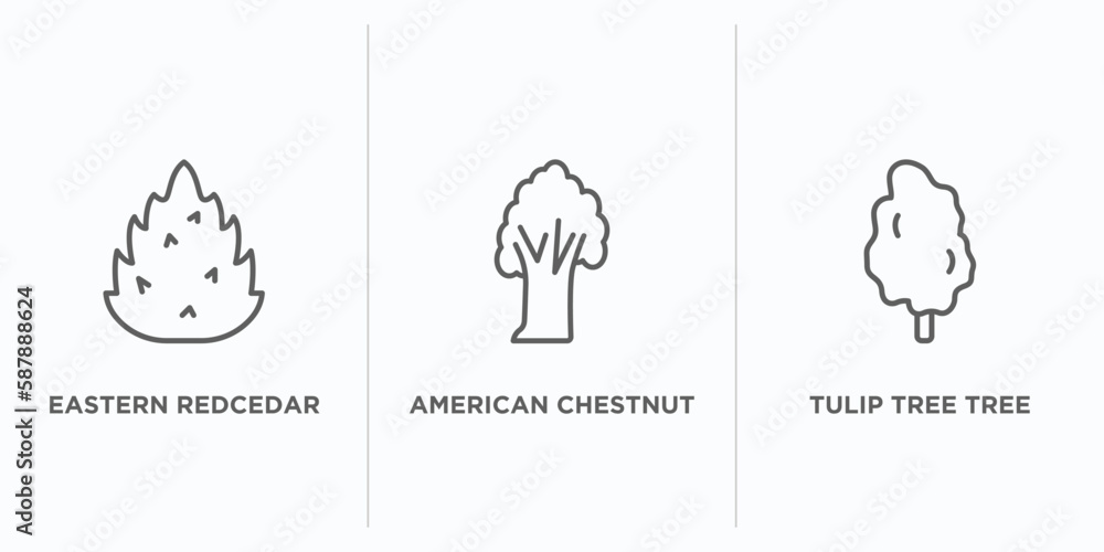 Poster nature outline icons set. thin line icons such as eastern redcedar tree, american chestnut tree, tul