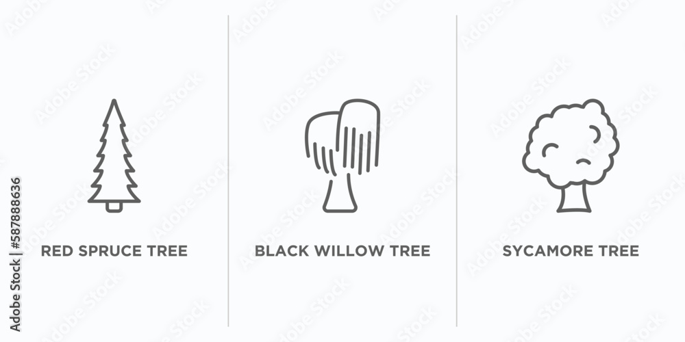 Poster nature outline icons set. thin line icons such as red spruce tree, black willow tree, sycamore tree 