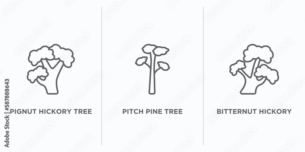 Poster nature outline icons set. thin line icons such as pignut hickory tree, pitch pine tree, bitternut hi