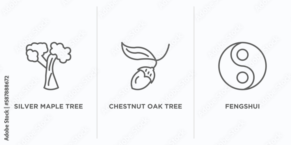 Poster nature outline icons set. thin line icons such as silver maple tree, chestnut oak tree, fengshui vec