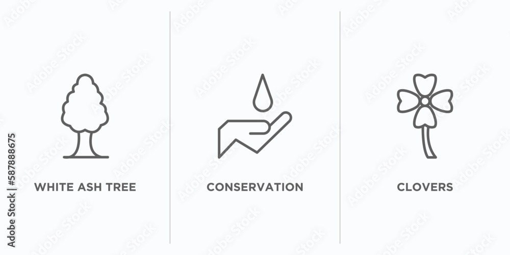 Poster nature outline icons set. thin line icons such as white ash tree, conservation, clovers vector. line