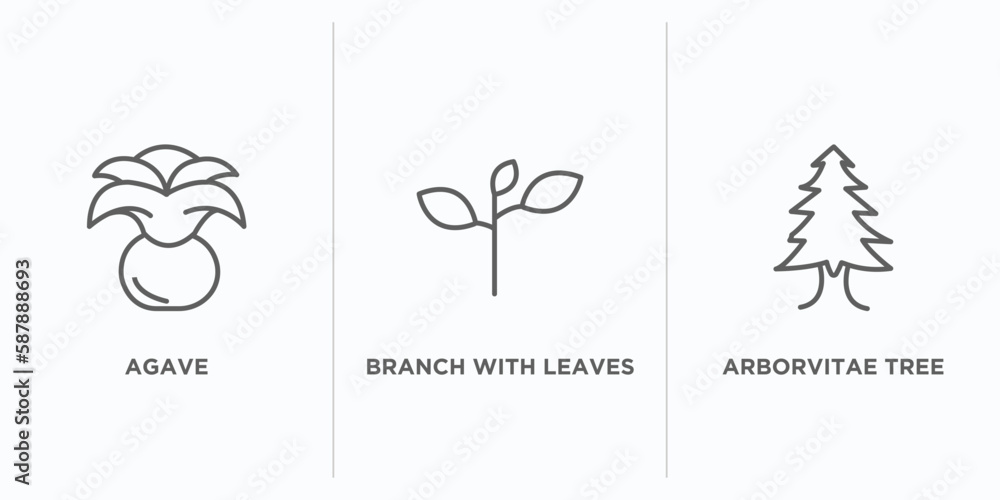 Poster nature outline icons set. thin line icons such as agave, branch with leaves, arborvitae tree vector.