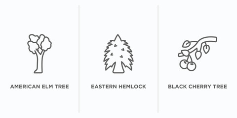 nature outline icons set. thin line icons such as american elm tree, eastern hemlock tree, black cherry tree vector. linear icon sheet can be used web and mobile