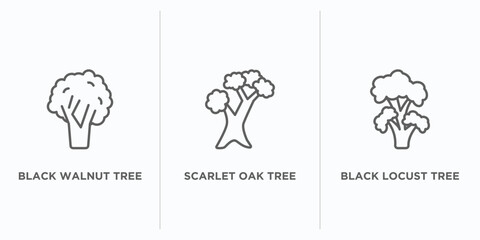 nature outline icons set. thin line icons such as black walnut tree, scarlet oak tree, black locust tree vector. linear icon sheet can be used web and mobile