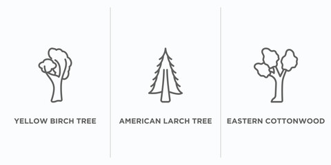 nature outline icons set. thin line icons such as yellow birch tree, american larch tree, eastern cottonwood tree vector. linear icon sheet can be used web and mobile