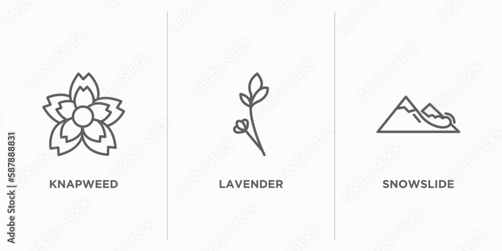 Poster nature outline icons set. thin line icons such as knapweed, lavender, snowslide vector. linear icon 