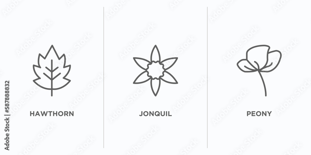 Poster nature outline icons set. thin line icons such as hawthorn, jonquil, peony vector. linear icon sheet