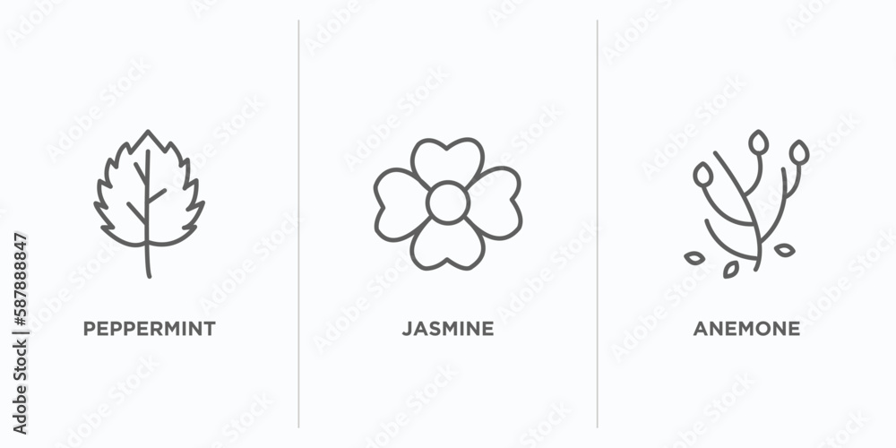 Poster nature outline icons set. thin line icons such as peppermint, jasmine, anemone vector. linear icon s