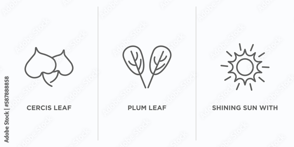 Aufkleber nature outline icons set. thin line icons such as cercis leaf, plum leaf, shining sun with rays vect