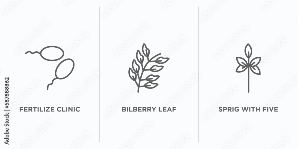 Poster nature outline icons set. thin line icons such as fertilize clinic, bilberry leaf, sprig with five l