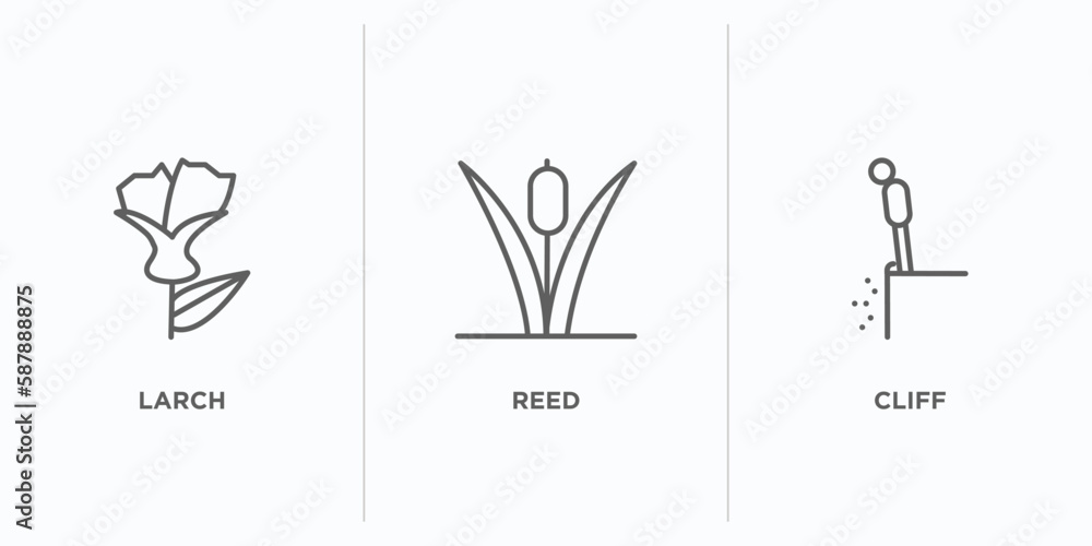 Poster nature outline icons set. thin line icons such as larch, reed, cliff vector. linear icon sheet can b