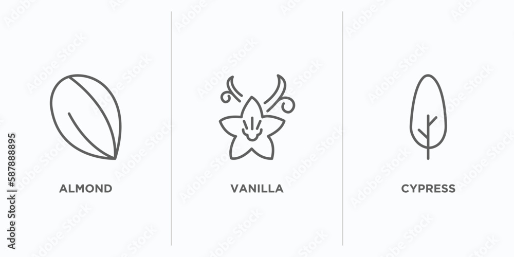 Poster nature outline icons set. thin line icons such as almond, vanilla, cypress vector. linear icon sheet