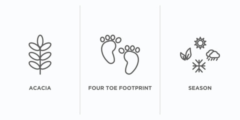 nature outline icons set. thin line icons such as acacia, four toe footprint, season vector. linear icon sheet can be used web and mobile