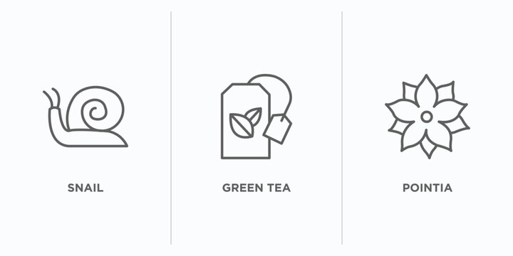 nature outline icons set. thin line icons such as snail, green tea, pointia vector. linear icon sheet can be used web and mobile