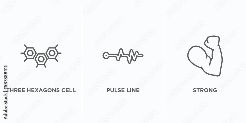 Poster medical outline icons set. thin line icons such as three hexagons cell, pulse line, strong vector. l