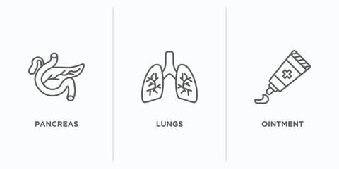 medical outline icons set. thin line icons such as pancreas, lungs, ointment vector. linear icon sheet can be used web and mobile - obrazy, fototapety, plakaty