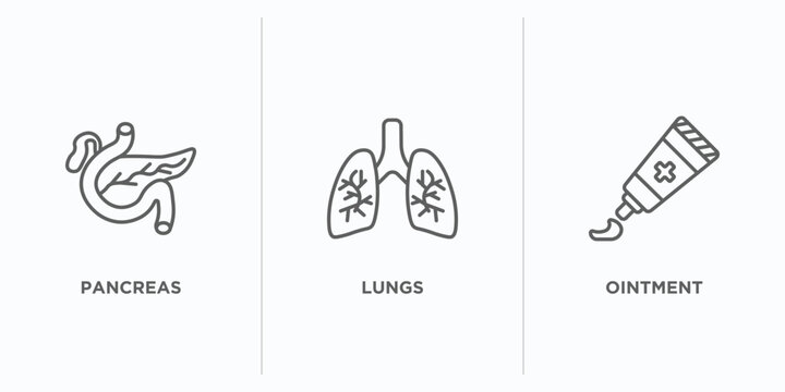medical outline icons set. thin line icons such as pancreas, lungs, ointment vector. linear icon sheet can be used web and mobile