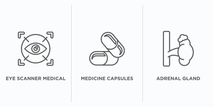 medical outline icons set. thin line icons such as eye scanner medical, medicine capsules, adrenal gland vector. linear icon sheet can be used web and mobile