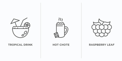 food outline icons set. thin line icons such as tropical drink, hot chote, raspberry leaf vector. linear icon sheet can be used web and mobile