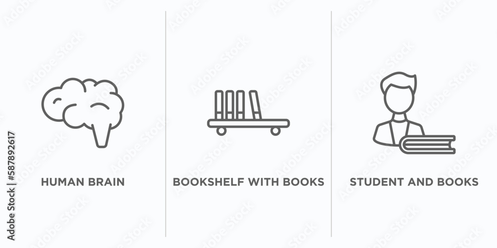 Aufkleber education outline icons set. thin line icons such as human brain, bookshelf with books, student and 