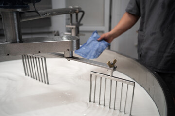 Cheesemaker pours rennet starter ferment in a large steel tank full of milk. Cheese production...