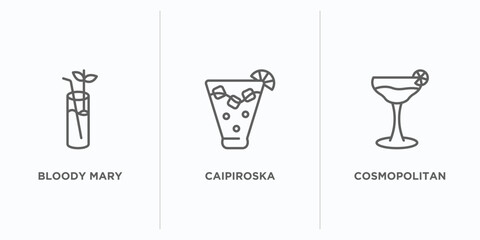 drinks outline icons set. thin line icons such as bloody mary, caipiroska, cosmopolitan vector. linear icon sheet can be used web and mobile
