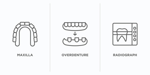 dentist outline icons set. thin line icons such as maxilla, overdenture, radiograph vector. linear icon sheet can be used web and mobile - obrazy, fototapety, plakaty