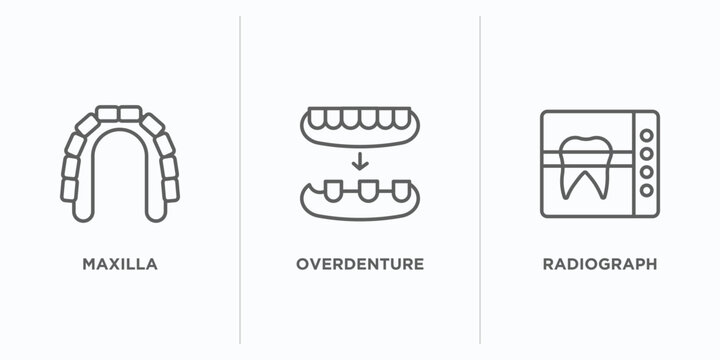 dentist outline icons set. thin line icons such as maxilla, overdenture, radiograph vector. linear icon sheet can be used web and mobile