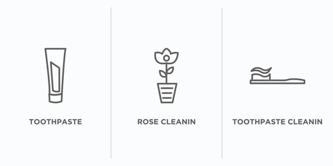 cleaning outline icons set. thin line icons such as toothpaste, rose cleanin, toothpaste cleanin vector. linear icon sheet can be used web and mobile