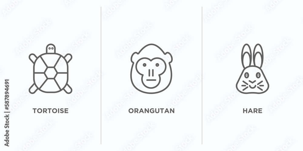 Poster animals outline icons set. thin line icons such as tortoise, orangutan, hare vector. linear icon she