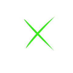 X Mark Icon