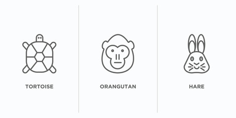 animals outline icons set. thin line icons such as tortoise, orangutan, hare vector. linear icon sheet can be used web and mobile © IconArt