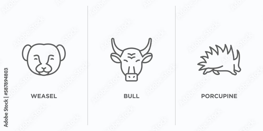 Poster animals outline icons set. thin line icons such as weasel, bull, porcupine vector. linear icon sheet