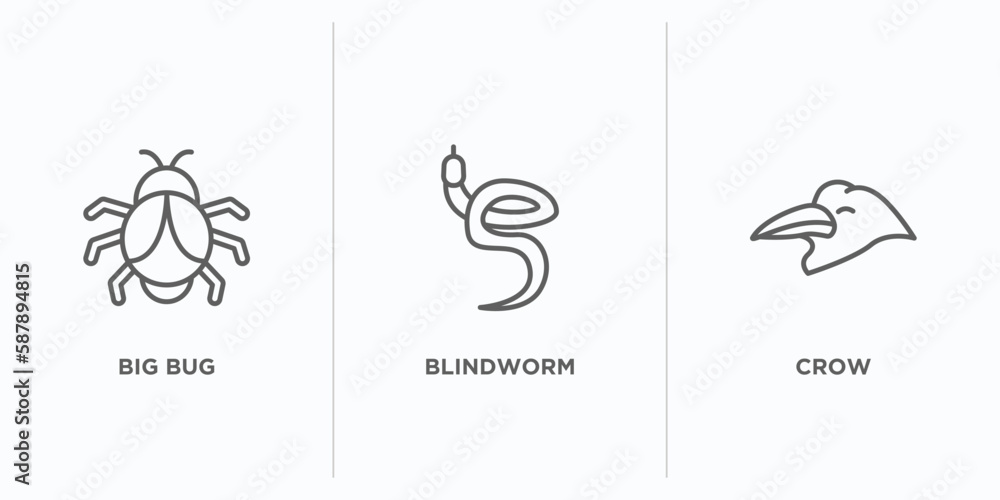 Poster animals outline icons set. thin line icons such as big bug, blindworm, crow vector. linear icon shee