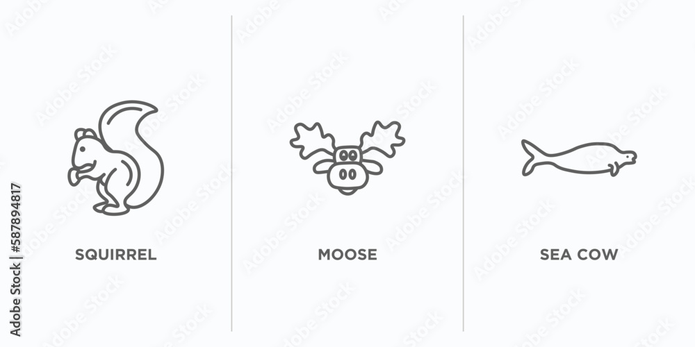 Poster animals outline icons set. thin line icons such as squirrel, moose, sea cow vector. linear icon shee