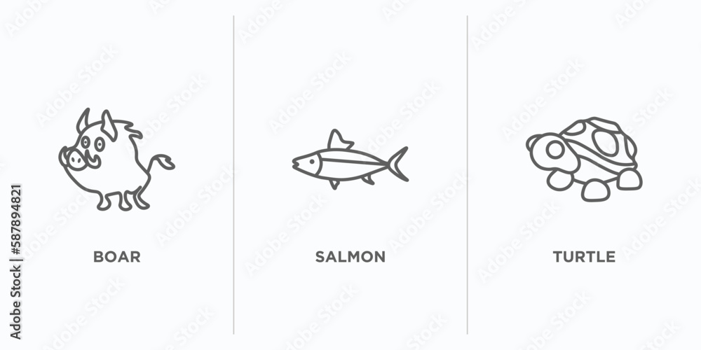 Poster animals outline icons set. thin line icons such as boar, salmon, turtle vector. linear icon sheet ca