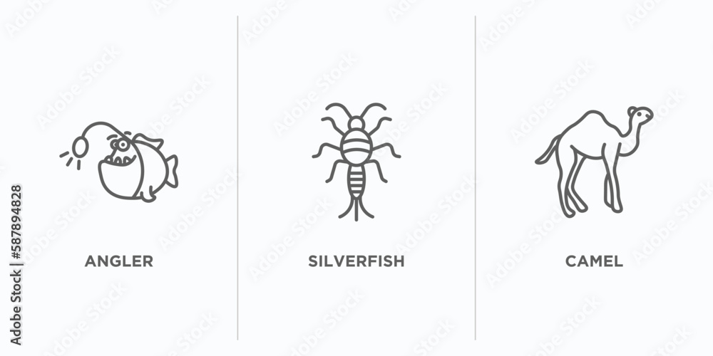 Poster animals outline icons set. thin line icons such as angler, silverfish, camel vector. linear icon she