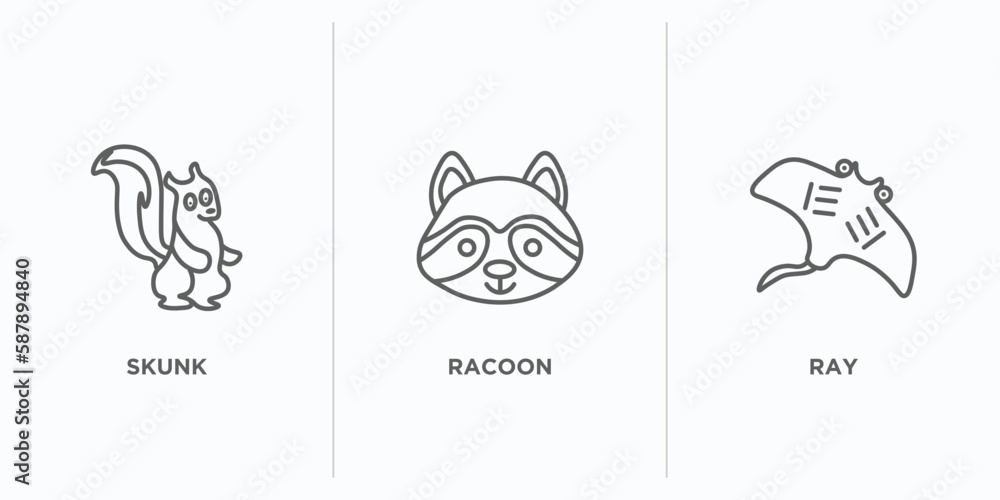 Poster animals outline icons set. thin line icons such as skunk, racoon, ray vector. linear icon sheet can 