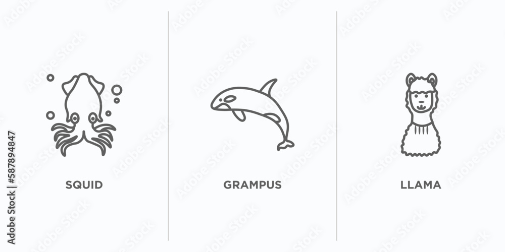 Poster animals outline icons set. thin line icons such as squid, grampus, llama vector. linear icon sheet c