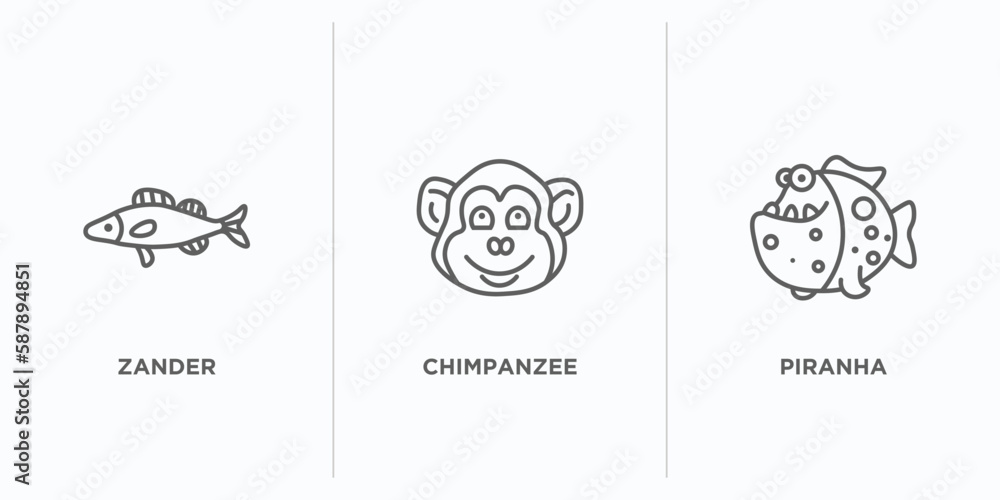 Poster animals outline icons set. thin line icons such as zander, chimpanzee, piranha vector. linear icon s