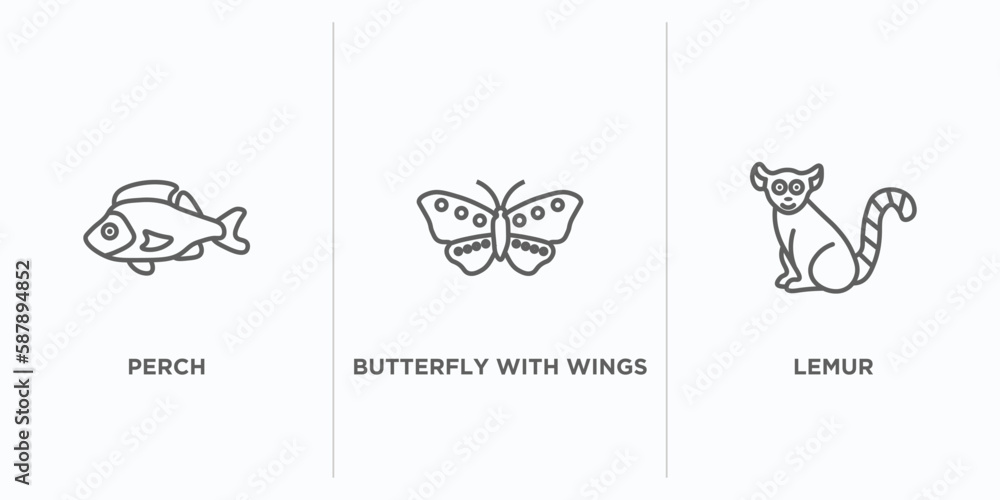 Poster animals outline icons set. thin line icons such as perch, butterfly with wings, lemur vector. linear