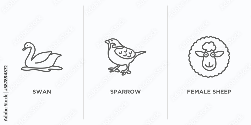 Poster animals outline icons set. thin line icons such as swan, sparrow, female sheep vector. linear icon s