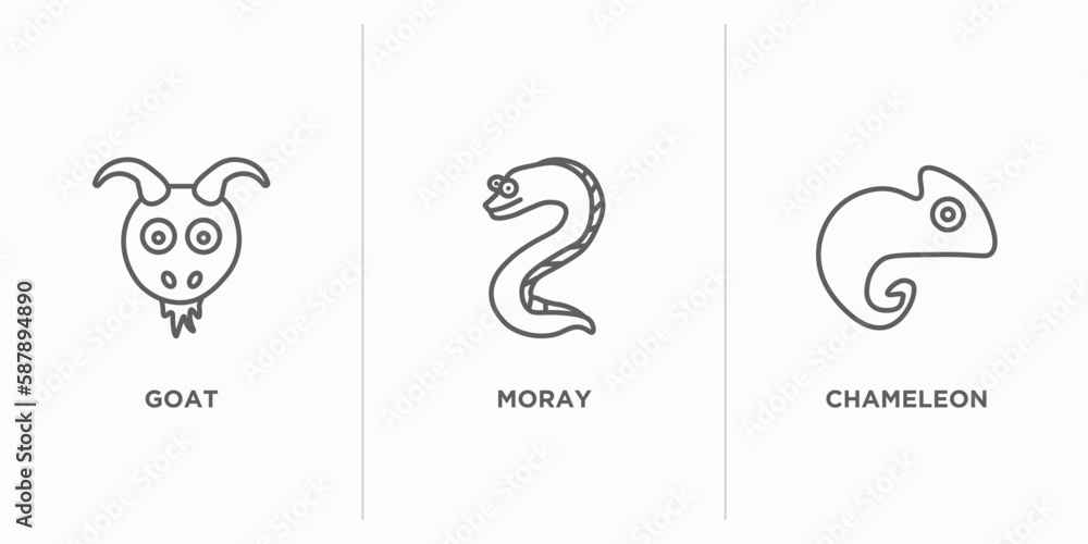 Poster animals outline icons set. thin line icons such as goat, moray, chameleon vector. linear icon sheet 