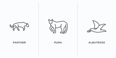 animals outline icons set. thin line icons such as panther, puma, albatross vector. linear icon sheet can be used web and mobile